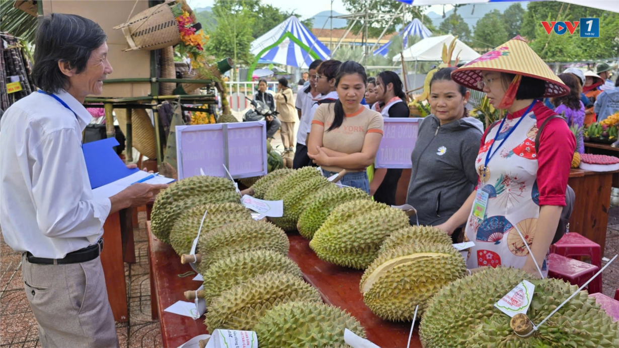 Khánh Hòa tổ chức Lễ hội trái cây, tìm đầu ra cho nông sản (11/08/2024) 
 